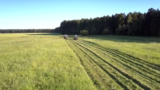 Maaimachines afgesneden groen gras bij hoge bomen — Stockvideo