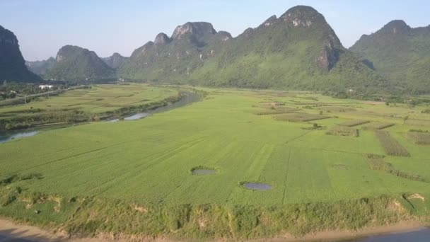 Flycam films amazing sunny highland covered with fields — Stock Video