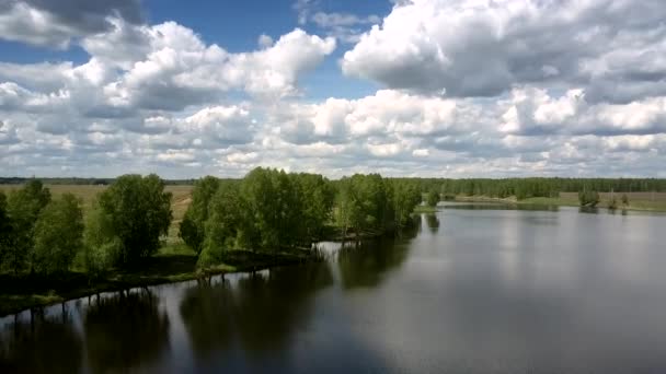 Maravilloso río azul en bancos forestales cerca de campos interminables — Vídeos de Stock