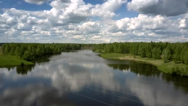 Río en bosques verdes densos contra la conducción de tren de mercancías — Vídeos de Stock