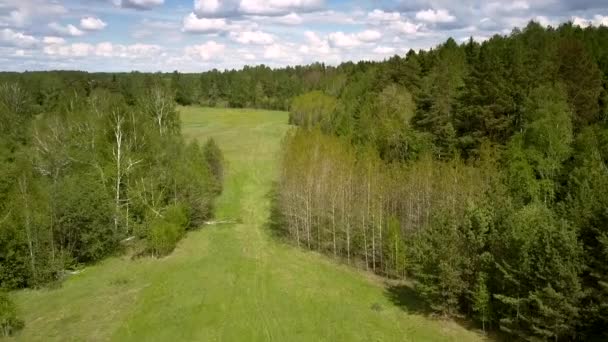 Grüne Bäume und Gras gegen abgelegene Dorfdächer — Stockvideo