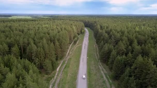 Moderna fordon kör längs grå väg bland ändlösa skog — Stockvideo