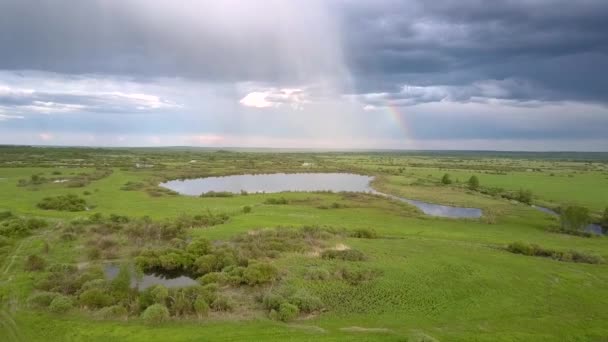 Ogromne jezioro otoczone zielonymi łąkami pod chmurami — Wideo stockowe