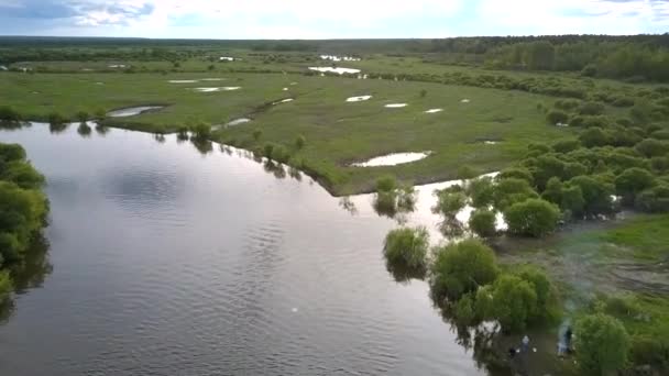 Prachtige kalme rivier in de buurt van groene weide met kleine meren — Stockvideo