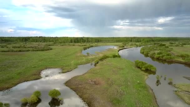 Cudowne łąki i drzewa w wodzie nad jeziorem po powodzi — Wideo stockowe