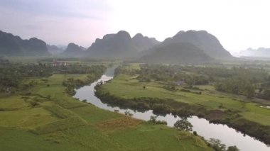 pitoresk dolambaçlı nehir ormana karşı ağaçları yansıtır