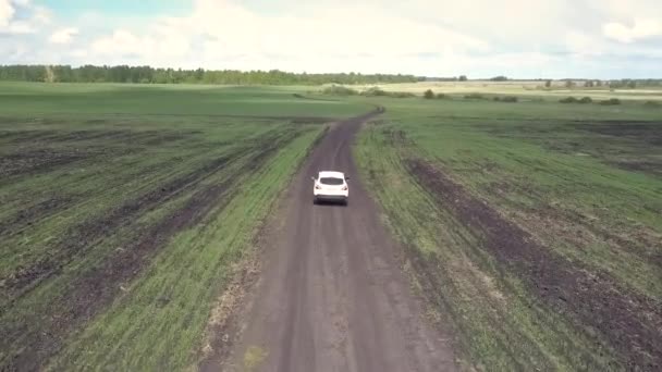 Aerial White auto rijdt langs grond spoor tussen velden — Stockvideo