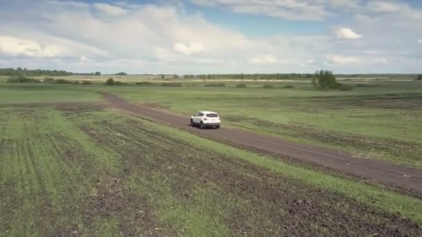 Vista aérea campos sin fin y auto blanco en la carretera terrestre — Vídeo de stock