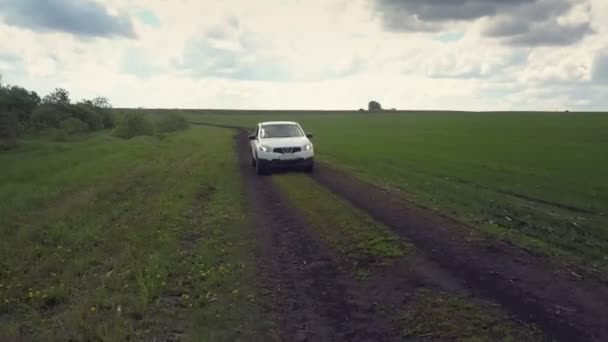 Carro branco aéreo dirige ao longo da estrada terrestre passando arbustos — Vídeo de Stock