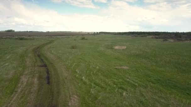 Antenne riesige Wiese mit grünem Gras erstreckt sich bis zum Horizont — Stockvideo