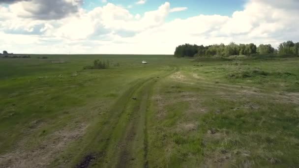 Movimiento aéreo sobre el prado grande al coche de conducción moderno — Vídeo de stock