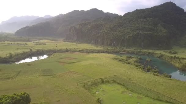 Incrível vastos campos verdes perto do rio azul e construção — Vídeo de Stock