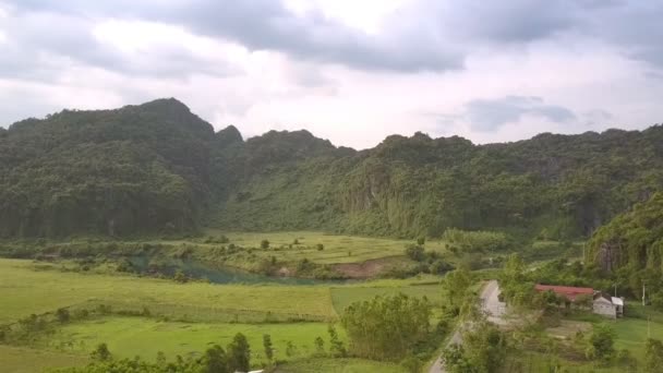 Estrada cinza entre campos de amendoim verde e edifício telhado vermelho — Vídeo de Stock