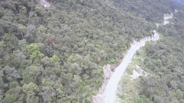 Estrada de asfalto curvilínea estreita que atravessa a floresta verde — Vídeo de Stock