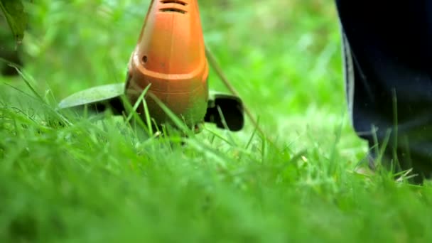 Moderner orangefarbener Trimmer mäht grünes Gras im Garten langsam — Stockvideo