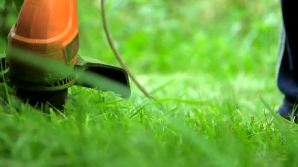 Professionele maaier gesneden gras met moderne oranje trimmer — Stockvideo