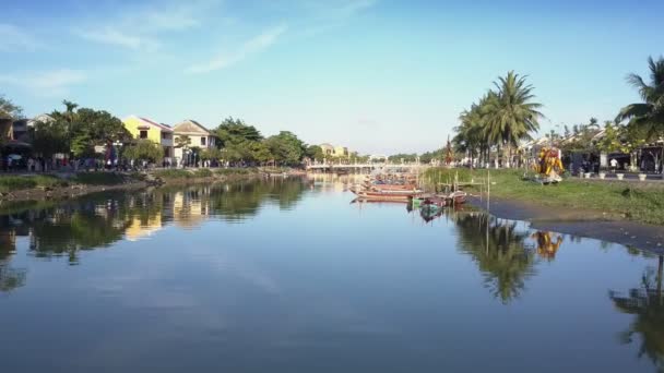 Vue supérieure rivière calme avec des remblais et des palmiers bondés — Video