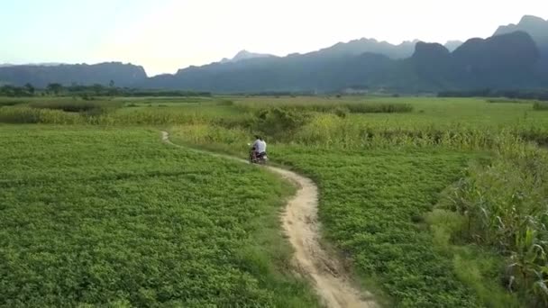 Bird eye view couple rides scooter along road among fields — Stock Video