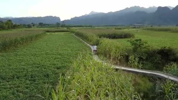 Letecký pár jede na skútru podél kukuřičných polí na venkovské půdě — Stock video