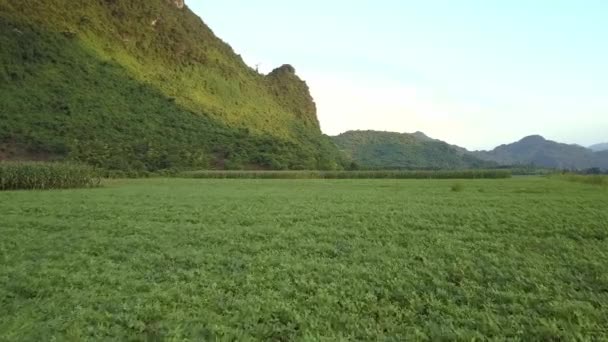 Luftbewegung über großem Feld gegen sonnenbeschienenen Berg — Stockvideo