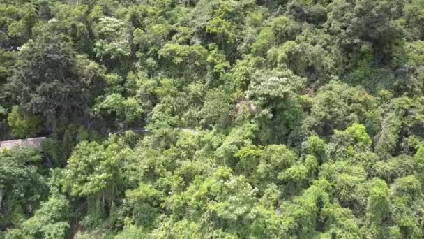 Asiatiques bâtiments cachés dans la jungle sur montagne oiseau vue — Video