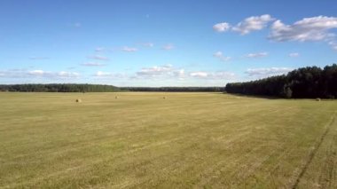 orman tarafından paketlenmiş saman alan boyunca dağınık hava görünümü