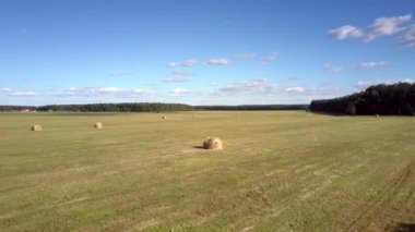üst görünüm paketlenmiş saman balyaları çalı ile sahaya dağınık