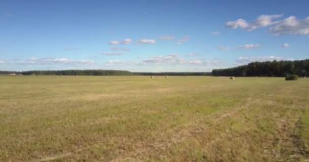 Швидкий рух близько над сухим трав'яним полем до круглих тюків сіна — стокове відео