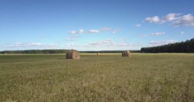 yuvarlak saman balyaları hasat çayır üzerinde geri hareket yakın