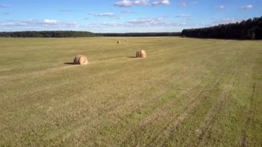 drone sahada saman balyaları ile manzara üzerinde yükselir