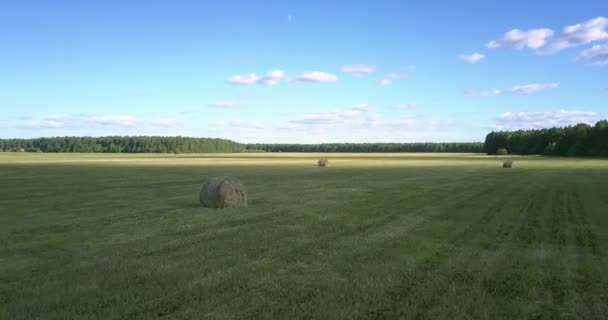 Gran sombra de nubes cubre campo de hierba seca con rollos de heno — Vídeos de Stock