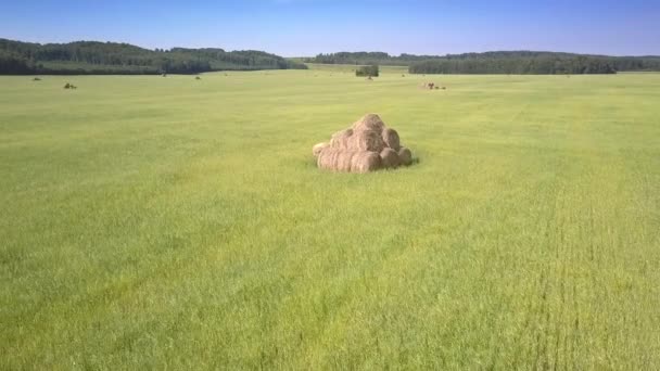 Drona se ridică deasupra unui singur fân stivuit pe teren de pădure — Videoclip de stoc