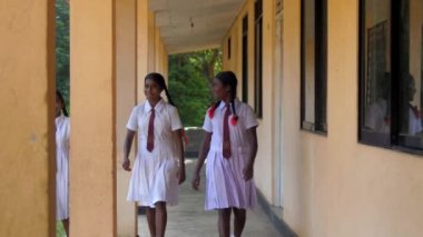 Sinhalese kızlar binanın yakınında yeşil ağaçlarda yürümek