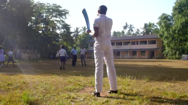 Écolier se tient sur le terrain de jeu vert tenant chauve-souris de cricket — Video