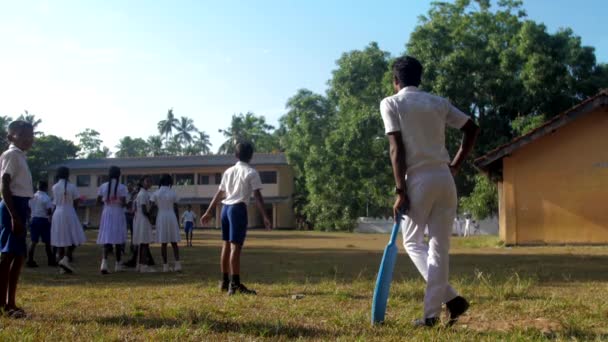 Colegial cingalés se aleja de jugador de cricket — Vídeos de Stock