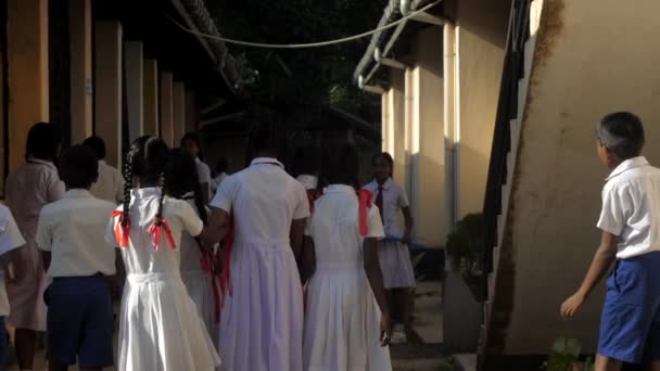 Niños y niñas se reúnen en el edificio escolar iluminado por el sol — Vídeos de Stock