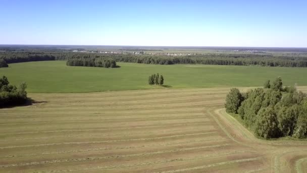 nature à couper le souffle avec des champs verts et fauchés près des forêts 