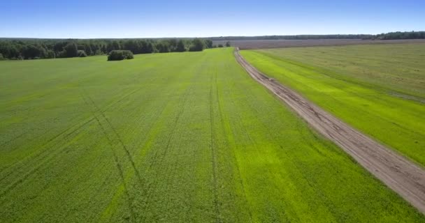 Ampio campo con prato verde sentiero terra e cielo blu brillante — Video Stock