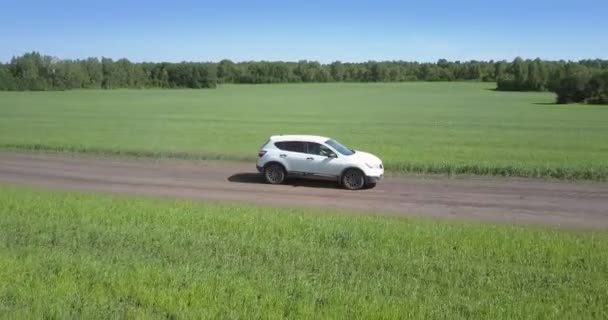 White car drives fast along ground path between green fields — Stock Video