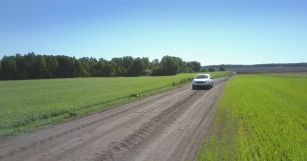 Jeep rijdt langs Grey Ground Road tegen Green Field — Stockvideo