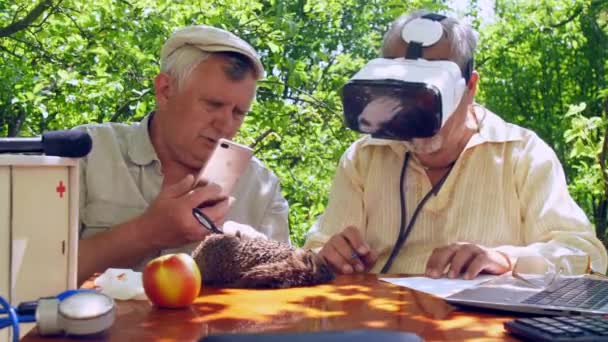 Starszy obywatel w nowoczesnym zestawie słuchawkowym siedzi przy stole z Jeż — Wideo stockowe