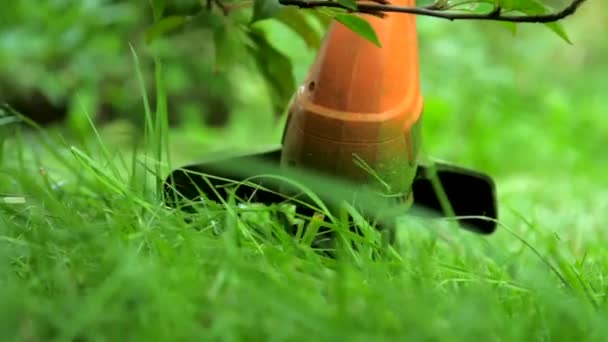 Recortadora naranja moderna corta hierba verde cerca de la tierra — Vídeos de Stock