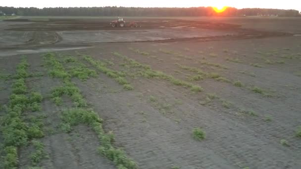 Широкое поле и культиватор пашет почву в сумерках с высоты птичьего полета — стоковое видео