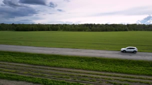 Auto bianca guida lungo la strada asfaltata danneggiata vista a volo d'uccello — Video Stock