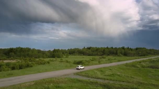 森に対する灰色の道路に沿って現代の自動車ドライブ — ストック動画