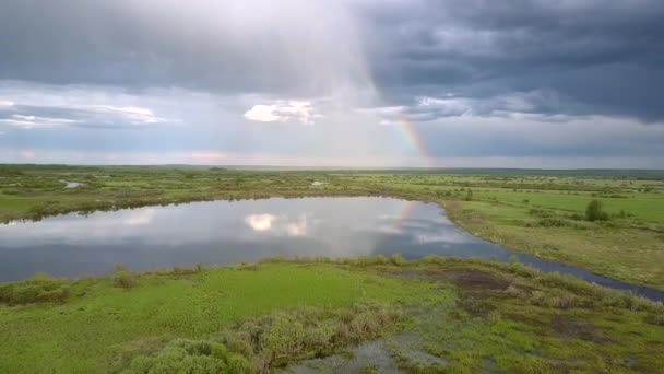 Спокійне озеро відображає хмари серед зеленої трави та дерев — стокове відео