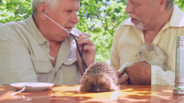 Пожилой мужчина со стетоскопом исследует белого кота и ёжика — стоковое видео