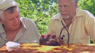 tıbbi ekipman ile yaşlı insanlar kirpi sağlığı düşünün