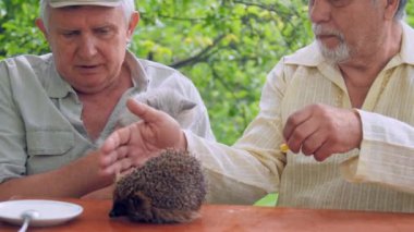 yaşlı vatandaş bahçede kirpi ile masada iletişim
