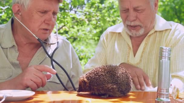 Ciudadano de la tercera edad con estetoscopio se sienta cerca de hombre anciano — Vídeo de stock